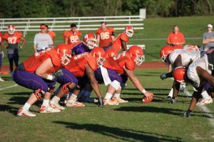 Photo Credit: Mark Crammer