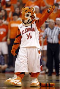 tiger cub mascot cheer