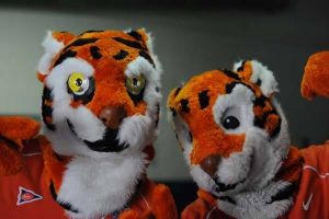 tiger and tiger cub mascot 010109