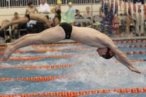 swimmer swimming 020412