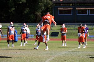 Photo credit: Mark Crammer