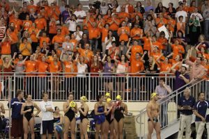 fans cheer stands 020412