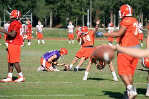 Photo Credit: Mark Crammer