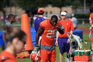 Photo Credit: Mark Crammer