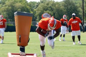 Photo Credit: Mark Cramer