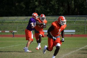 Photo Credit: Mark Crammer