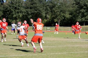 Photo credit: Mark Crammer