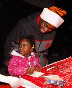 tiger wonderland 121410