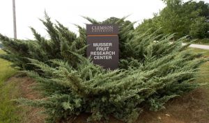 Musser Farms Cross Country Course - Entrance