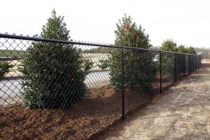 The Rock Norman Track, site of the 2010 ACC Outdoor Championships