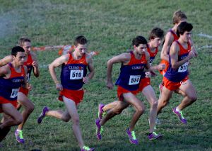 Clemson Tigers Official Athletics Site