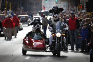 Clemson Tigers Official Athletics Site