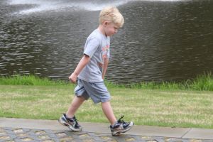 Clemson Tigers Official Athletics Site