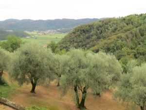 Clemson Tigers Official Athletics Site