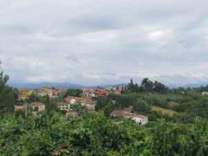 Clemson Tigers Official Athletics Site