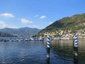 Clemson Tigers Official Athletics Site