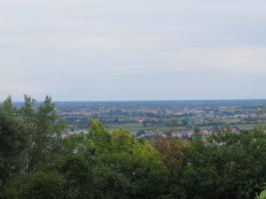 Clemson Tigers Official Athletics Site