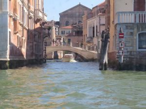 Clemson Tigers Official Athletics Site