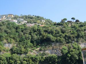 Clemson Tigers Official Athletics Site