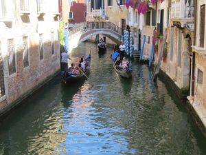 Clemson Tigers Official Athletics Site