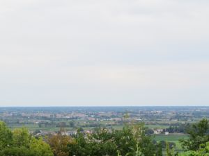 Clemson Tigers Official Athletics Site