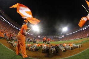 Clemson vs. Georgia, 8/31/13