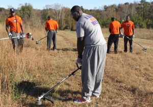 Clemson Tigers Official Athletics Site