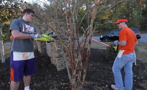 Clemson Tigers Official Athletics Site