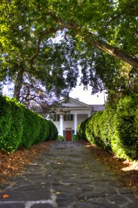 Clemson Tigers Official Athletics Site