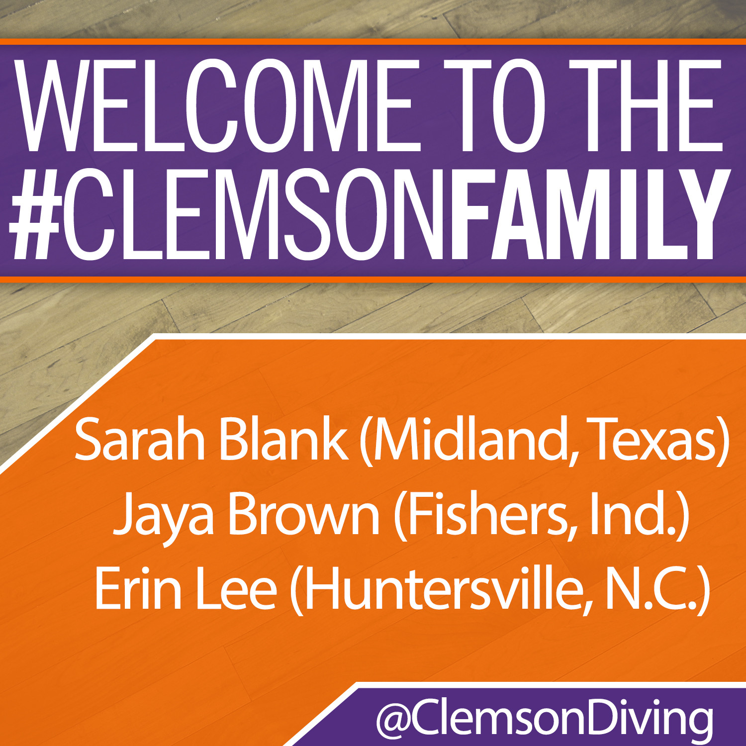 Tigers Sign Three Divers for 2015-16