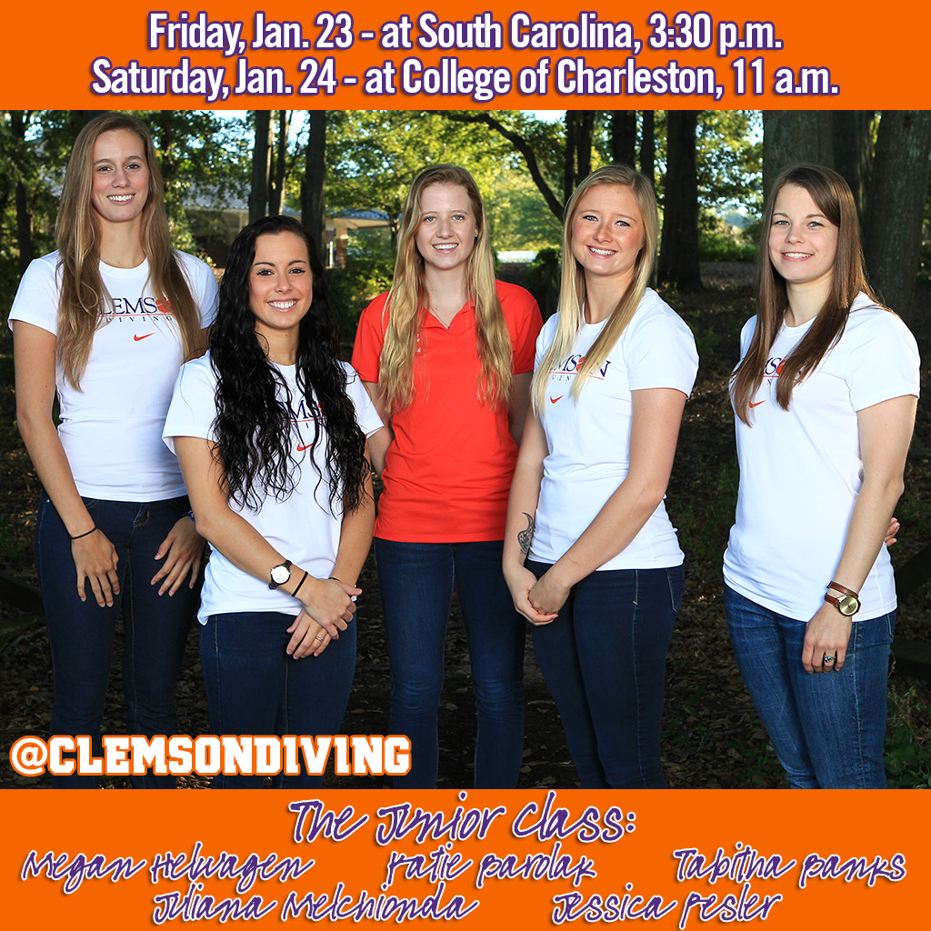 Tigers Face South Carolina Friday, College of Charleston Saturday on the Road