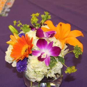 Clemson Tigers Official Athletics Site