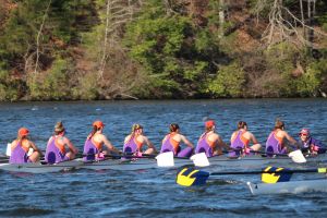 Clemson Tigers Official Athletics Site