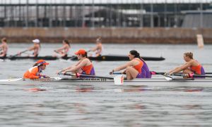 Clemson Tigers Official Athletics Site