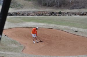 Clemson Tigers Official Athletics Site