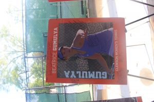 Clemson Tigers Official Athletics Site