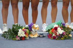 Clemson Tigers Official Athletics Site