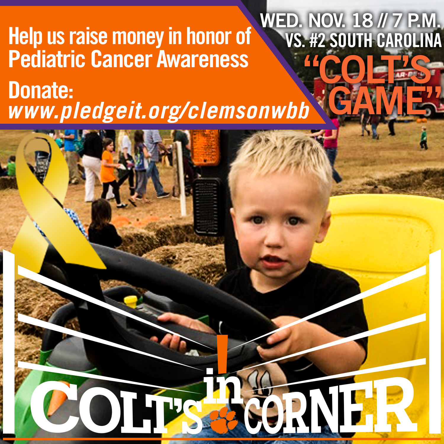 Tigers Host #2 South Carolina in Pediatric Cancer Awareness Game