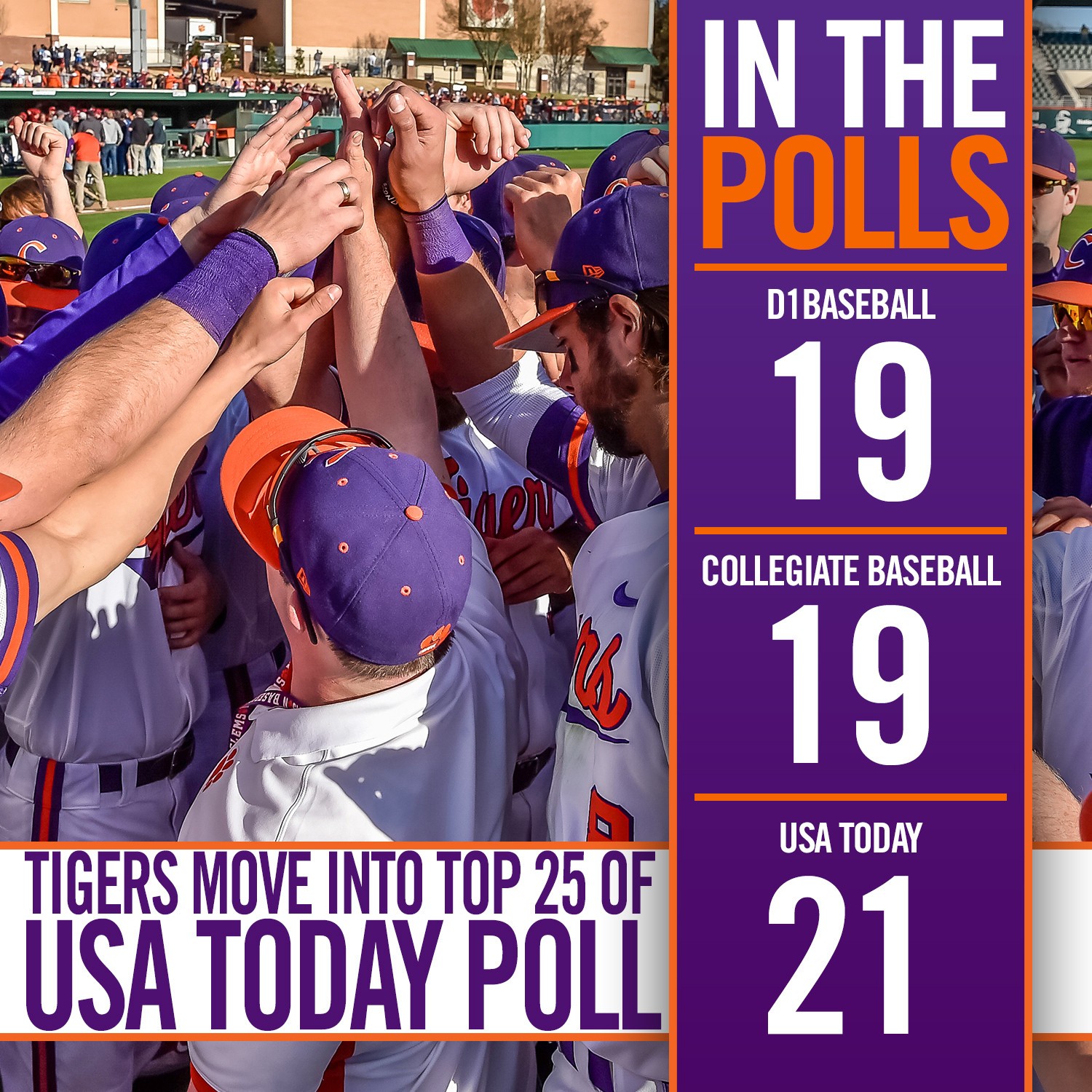 Tigers Move Up in the Polls