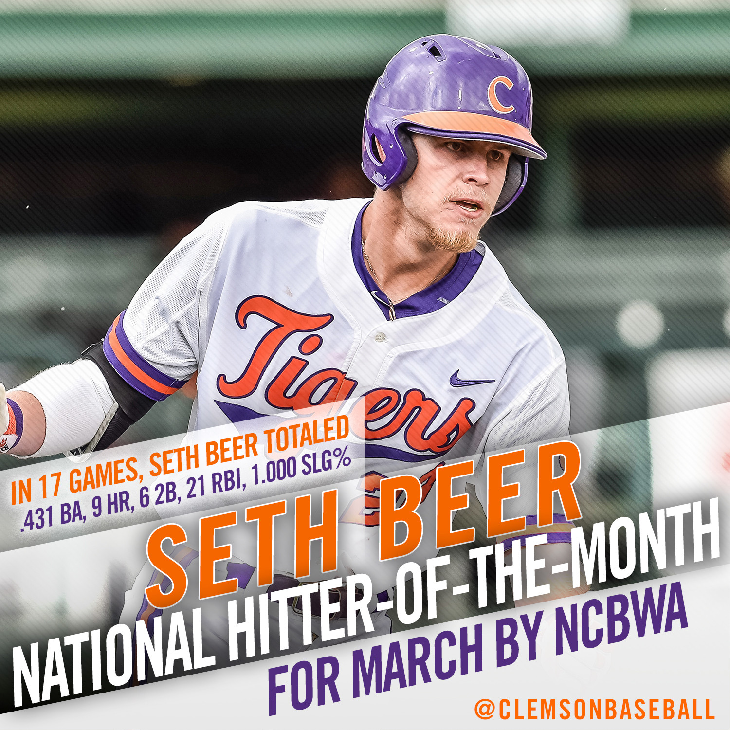 Beer Named Hitter-of-the-Month