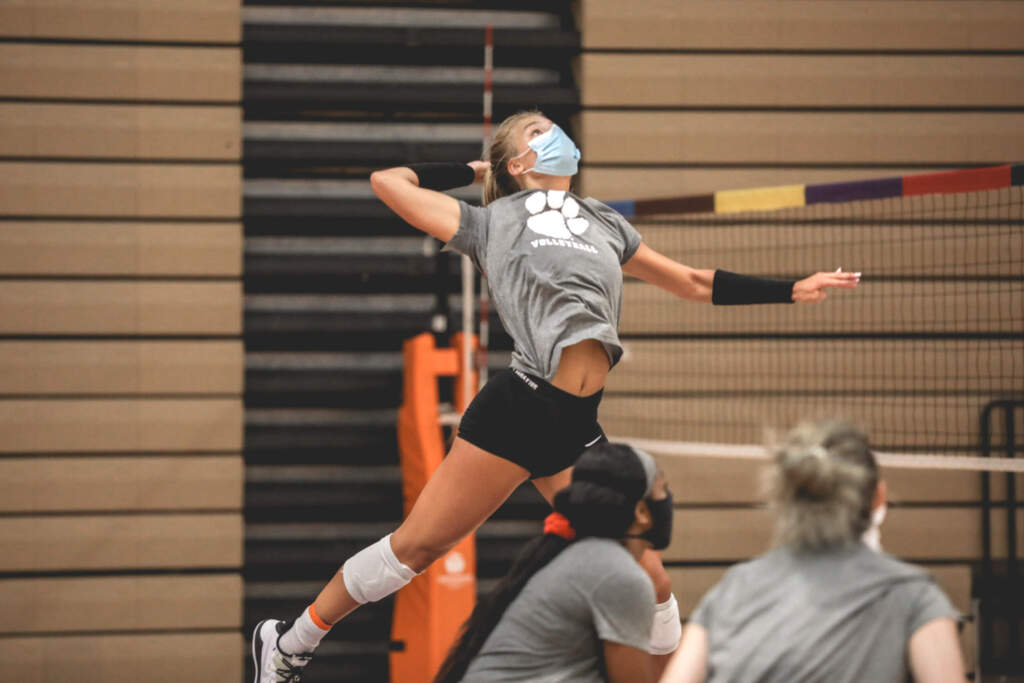 Clemson Tigers Official Athletics Site