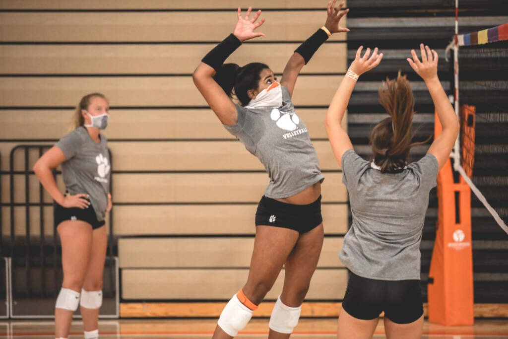 Clemson Tigers Official Athletics Site