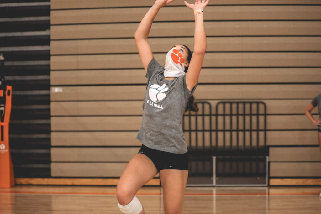 Clemson Tigers Official Athletics Site