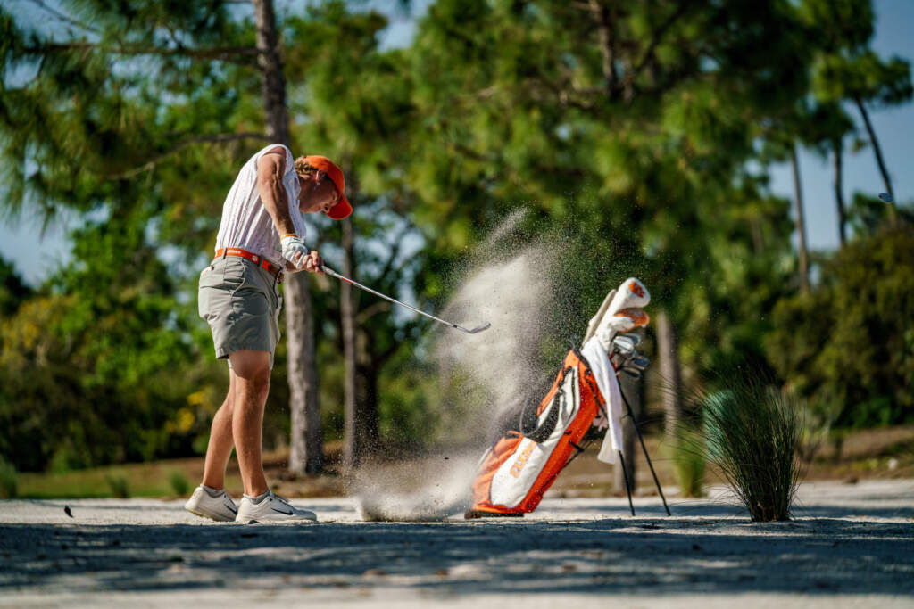 clemson tigers golf bolsa