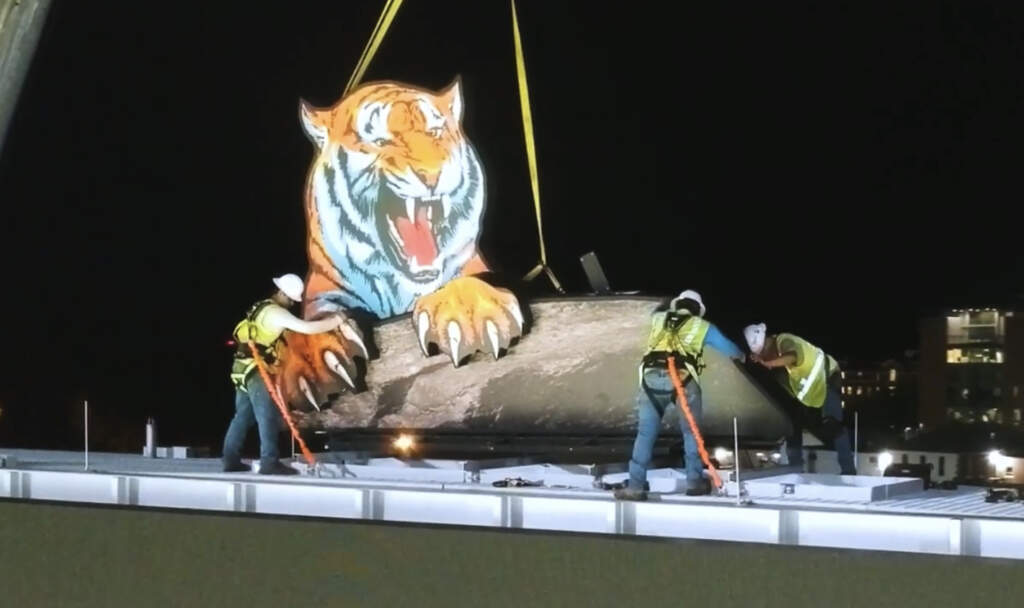 First Look: Tiger Returns to Videoboard