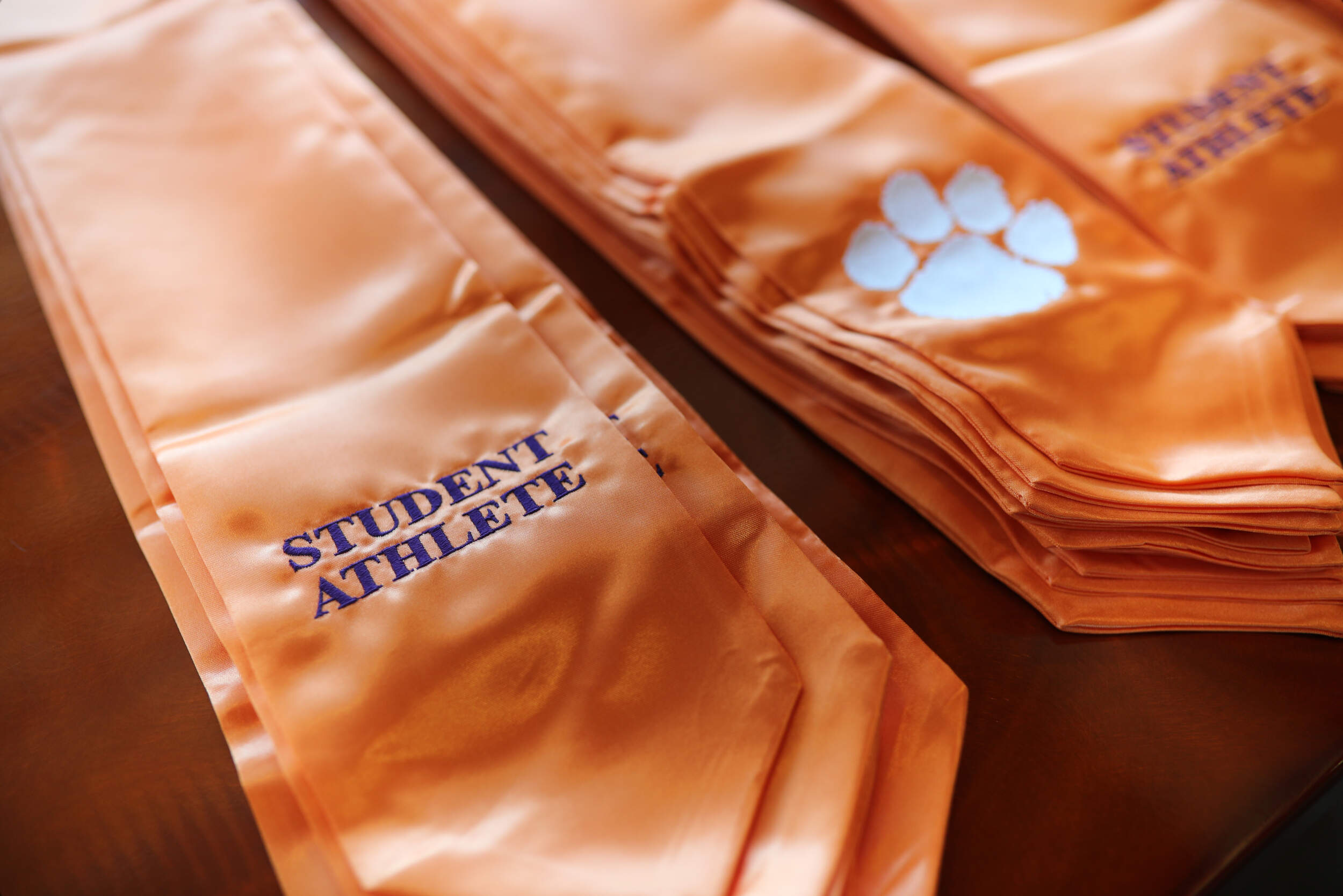 Clemson Hits 95% Graduation Success Rate for 2nd Consecutive Year