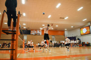 Clemson Tigers Official Athletics Site