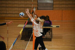 Clemson Tigers Official Athletics Site