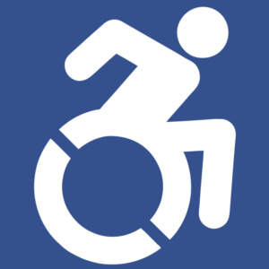 Wheelchair & Companion Seating