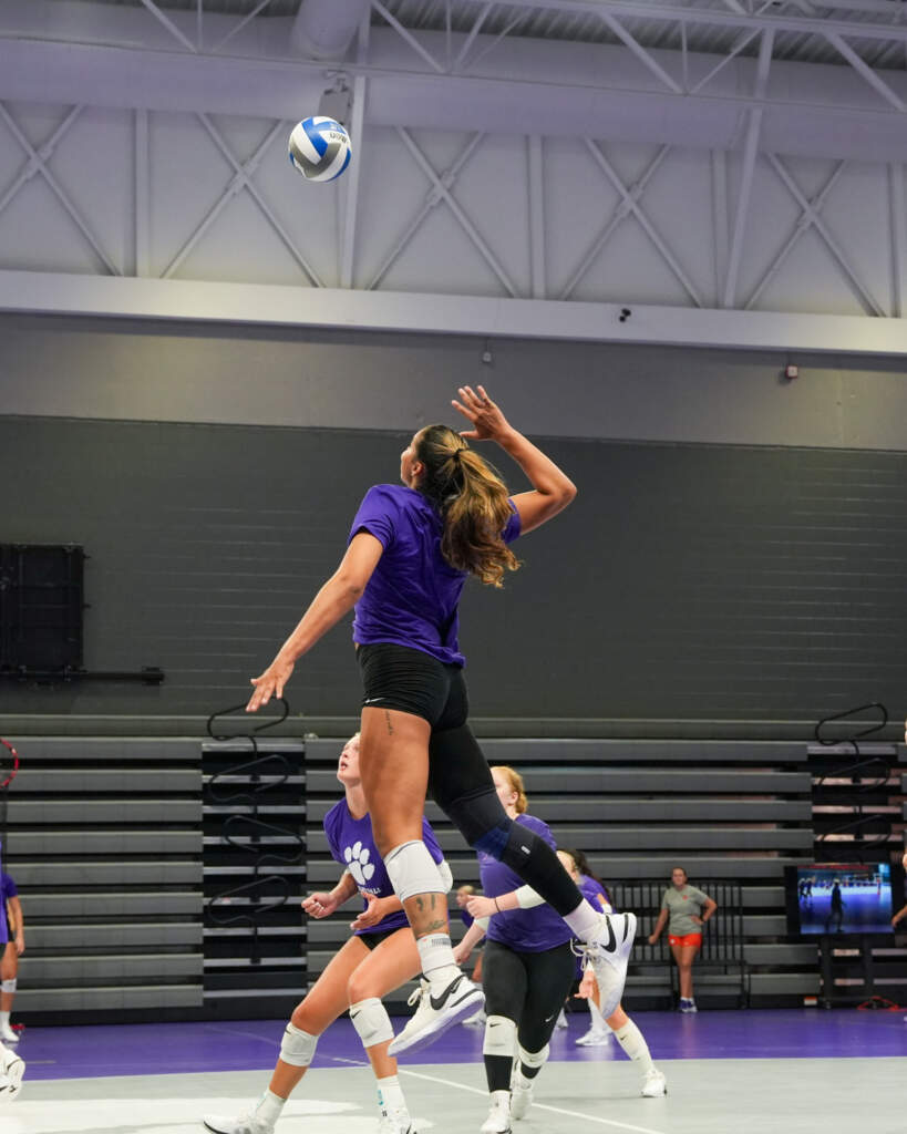 Clemson Tigers Official Athletics Site